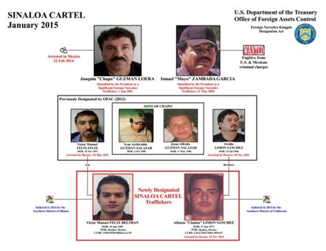 sinaloa cartel total members